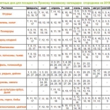 Kada saditi presadnice patlidžana